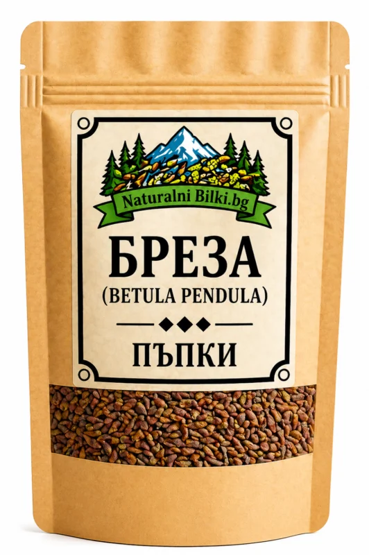 Брезови пъпки (Betula pendula)