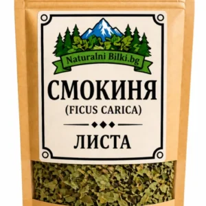 Смокиня – листа, рязан (Ficus carica)
