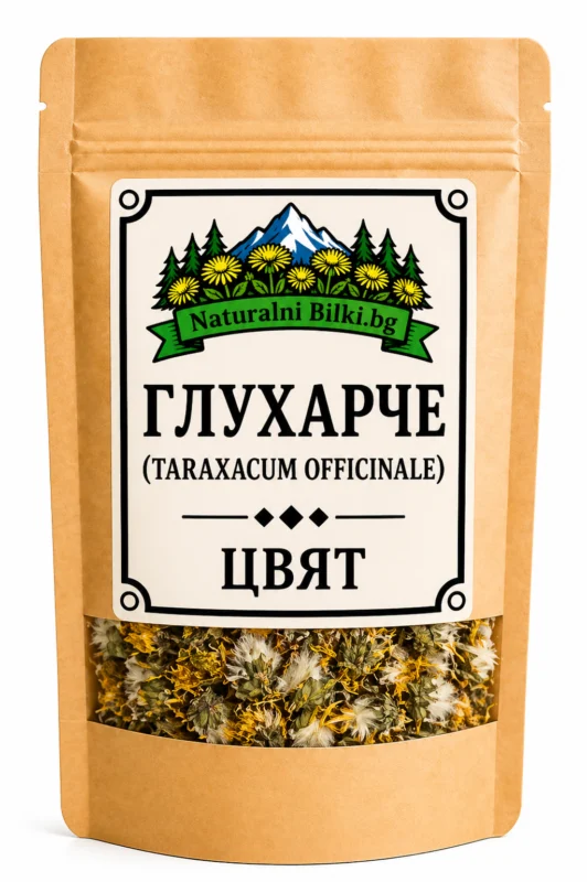 Глухарче – цвят, цели (Taraxacum officinale)