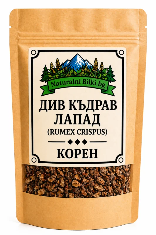 Див къдрав лапад – корен, рязан (Rumex crispus)