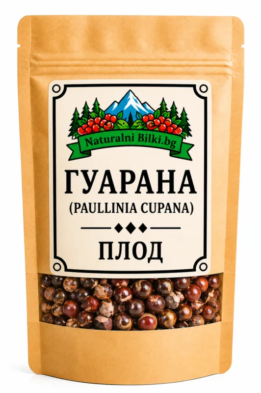 Гуарана – семена, рязан (Paullinia cupana)