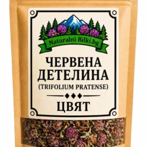 Червена детелина – цвят, рязан (Trifolium pratense)