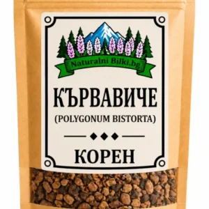 Кървавиче – корен, рязан (Polygonum bistorta)