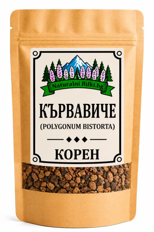 Кървавиче – корен, рязан (Polygonum bistorta)