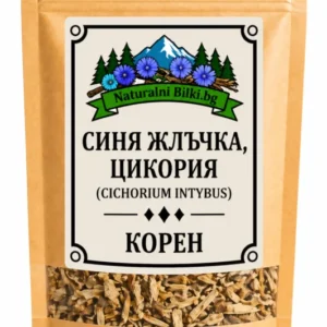 Цикория – корен, рязан (Cichorium intybus)