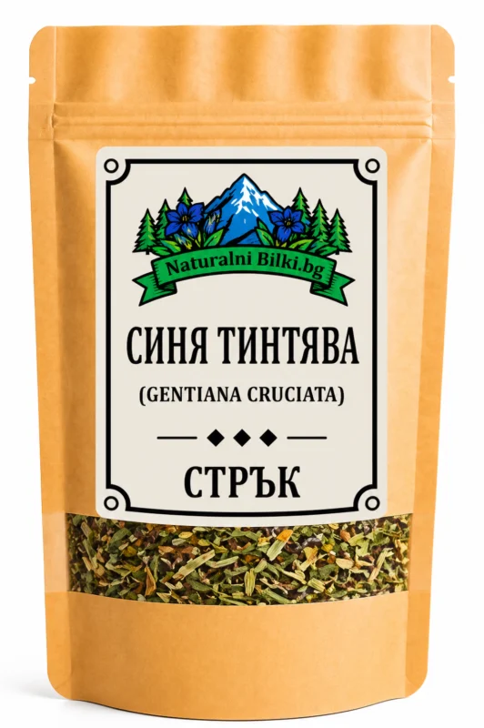 Синя тинтява – стрък, рязан (Gentiana cruciata)