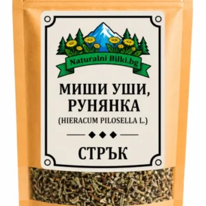 Мишо ухо, ястребинка – стрък, рязан (Hieracium pilosella)
