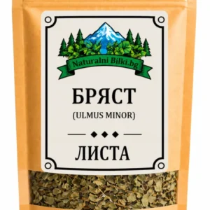 Бряст – листа, рязан (Ulmus minor)