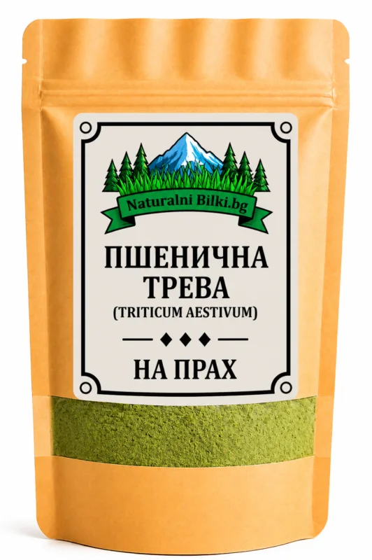 Пшенична трева – на прах (Triticum aestivum)