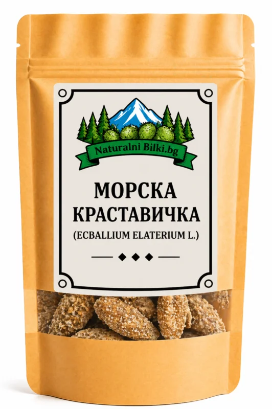 Морска краставица (луда краставица) – плод, цели (Ecballium elaterium)