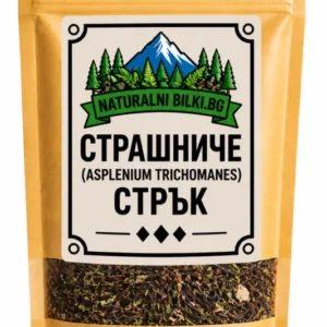 Страшниче – стрък, рязан (Asplenium trichomanes)