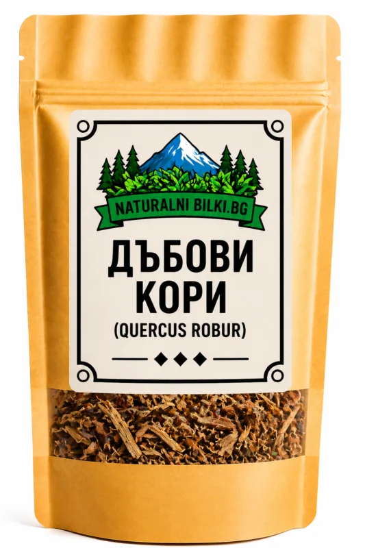 Дъб – кора, рязан (Quercus robur)