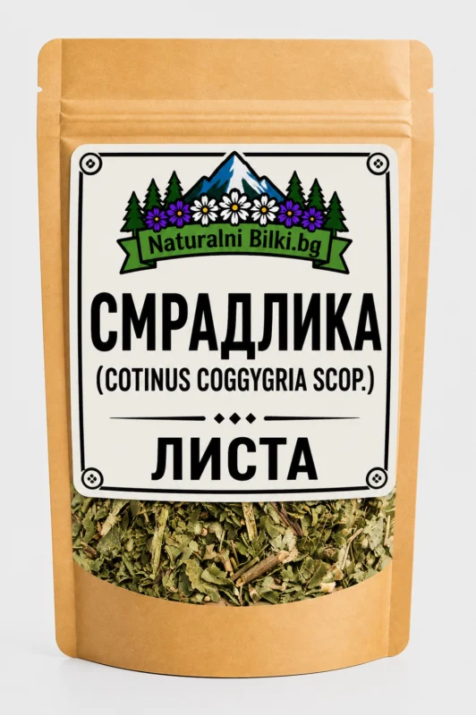 Смрадлика – листа, рязан (Cotinus coggygria)